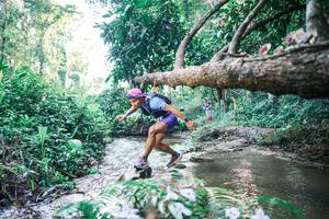 BIB: 
                            <button type="button" onclick="openModal(25432135)" class="btn btn-primary btn-sm float-right btn-popup" data-toggle="modal" data-target=".modal-high-quality">
                        <i class="fas fa-shopping-cart"></i> Add to Cart
                    </button>
                                            <button type="button" onclick="isThisMe(25432135, true)" class="btn btn-success btn-sm float-right btn-popup btn-isme hidden" data-toggle="tooltip" data-placement="bottom" title="นี่คือรูปของคุณใช่ไหม คลิกที่นี่เพื่อเอาเข้าอัลบั้ม">
                        <i class="fas fa-plus"></i> Add to album
                    </button>
                    <button type="button" onclick="isThisMe(25432135, false)" class="btn btn-warning btn-sm float-right btn-popup btn-isnotme hidden">
                        <i class="fas fa-ban"></i> Remove from album
                    </button>